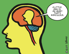 the gracious mind man inside head